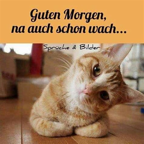 lustige guten morgen bilder für whatsapp|gute morgen lustig.